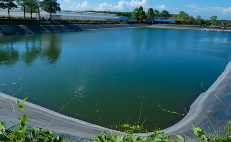 Aquaculture