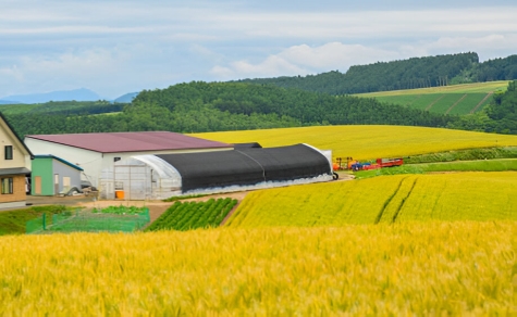 Livestock & Agriculture