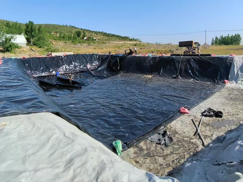 UV Resistant Geomembrane for Outdoor Fish Ponds