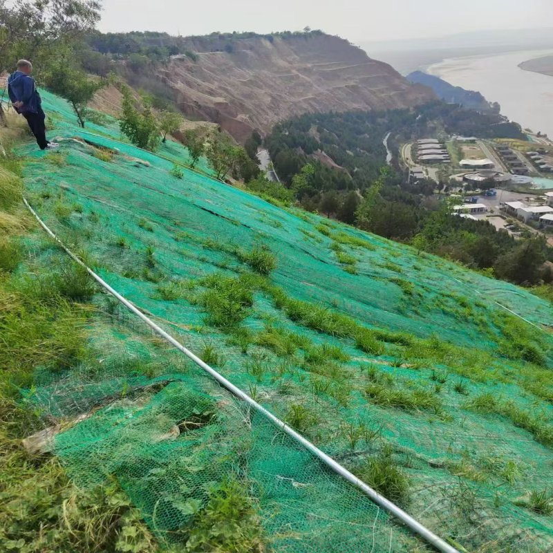 3D geonet for soil erosion prevention