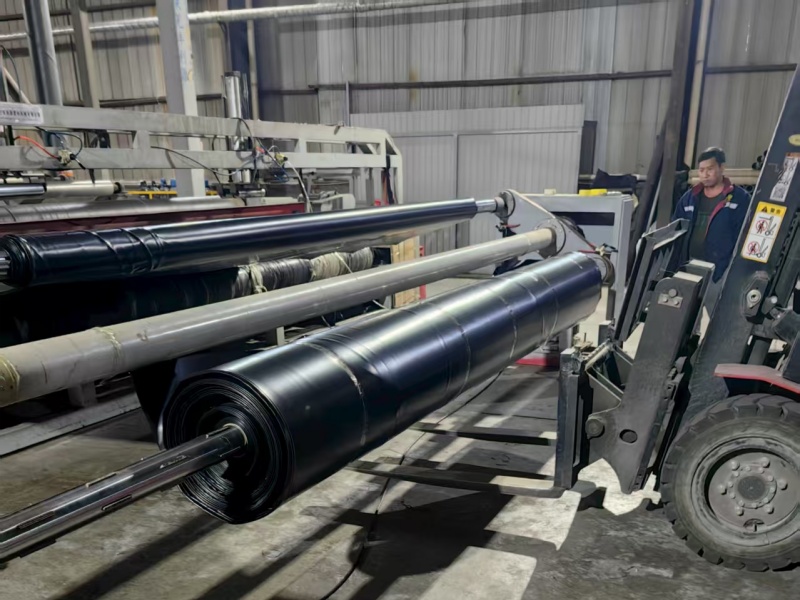 polyethylene geomembrane