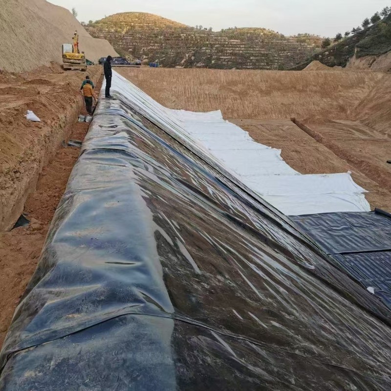 geomembrane sheet price