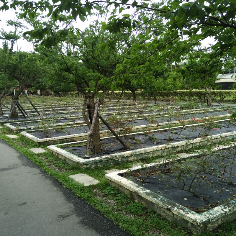 landscape cloth for weed control