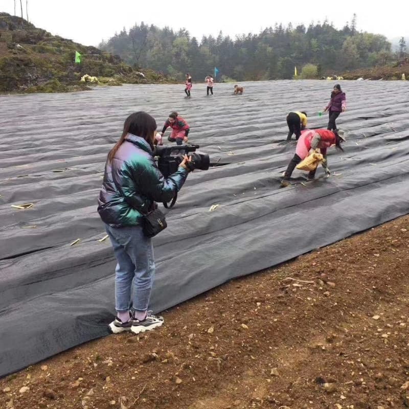 ground cloth for weed control