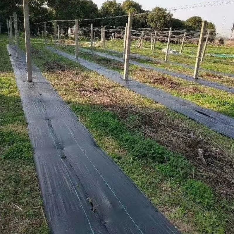 ground cloth for weed control