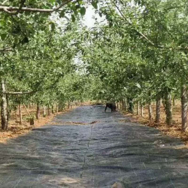 ground cloth for weed control