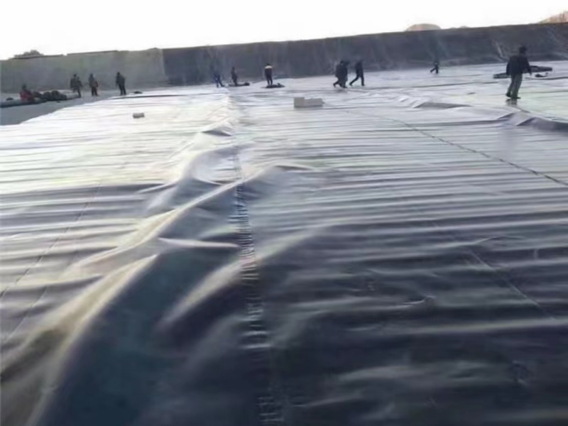 Long-Term Performance of HDPE Geomembrane