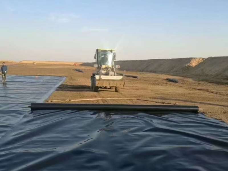 Fish Pond Waterproofing in Kenya Nuokun New Materials Co., Ltd.