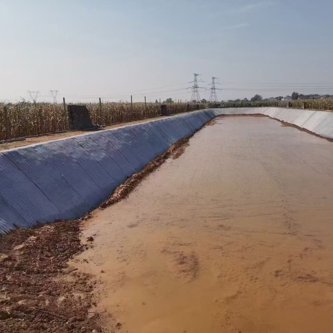 Amazon drainage lining
