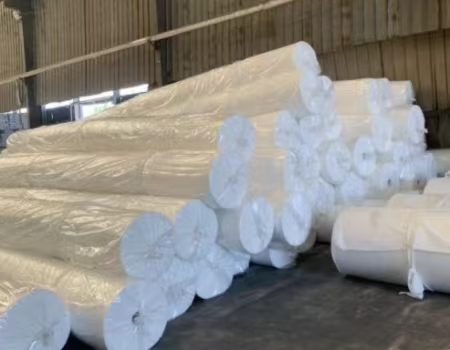 Global Geosynthetics Market Trends: What is Driving Demand for Geomembrane, Geotextile and Geogrids?